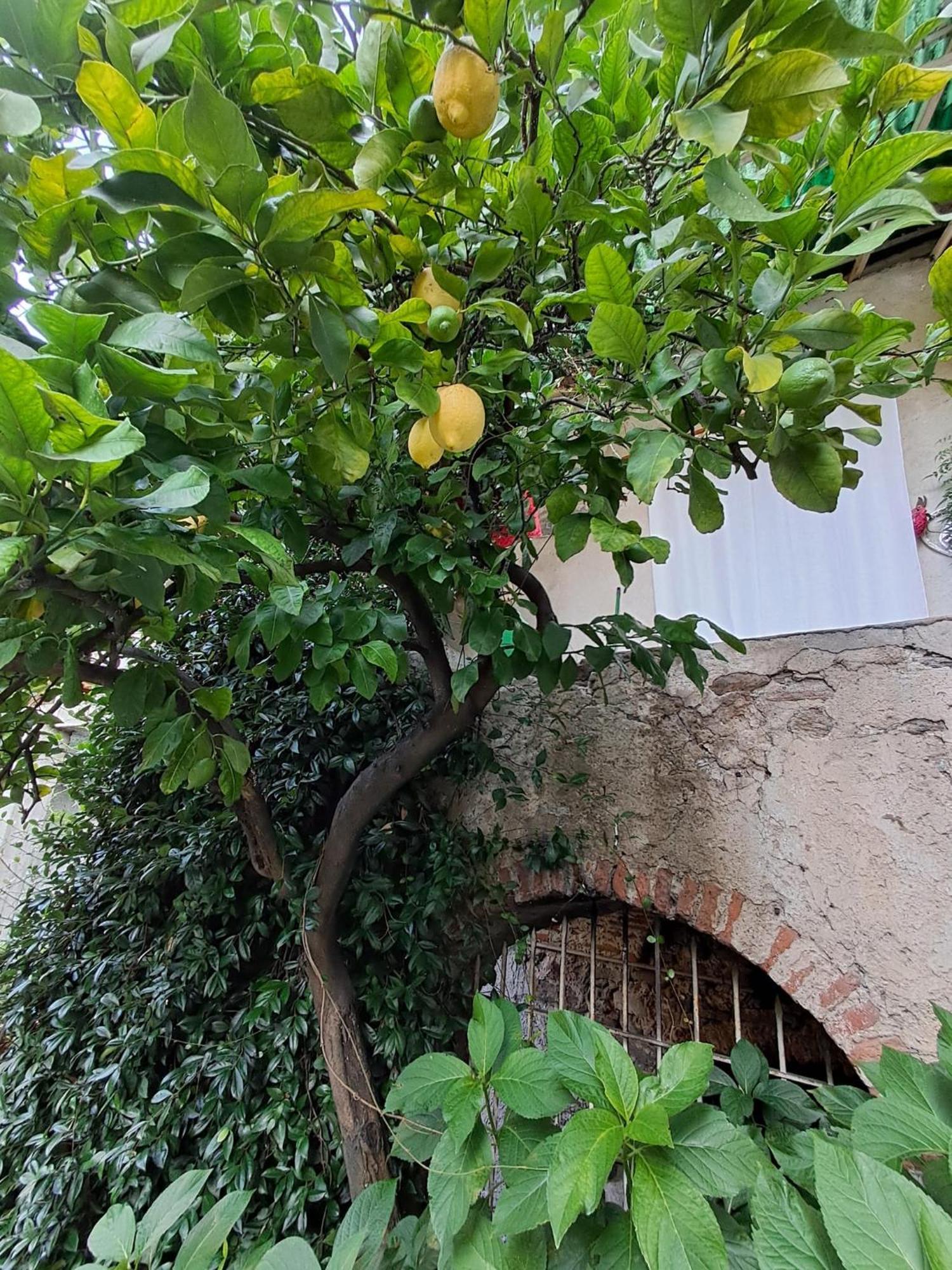 Nonna Anita Castelveccana Exterior foto