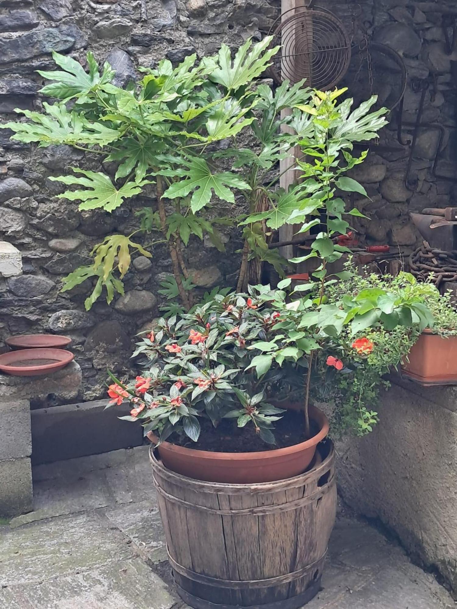 Nonna Anita Castelveccana Exterior foto