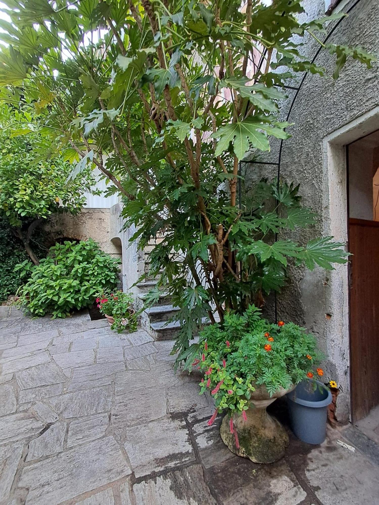 Nonna Anita Castelveccana Exterior foto